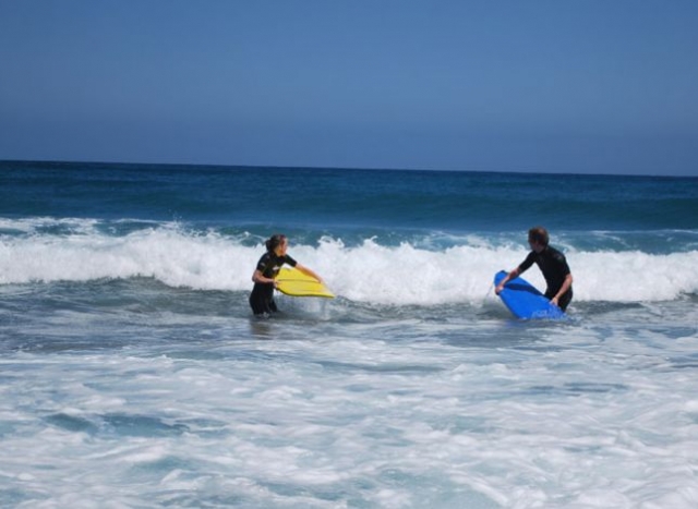surf safari
